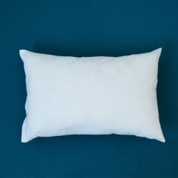 AllerProtect Hypoallergenic Pillow, Miteguard pillow, allergy pillow