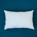 AllerProtect® Hypoallergenic Pillow - Out of stock